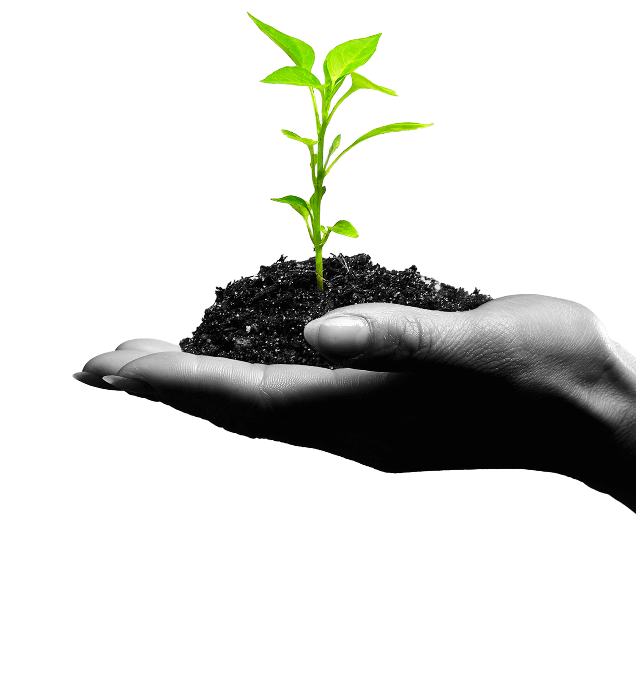 Corporate Community Responsibility