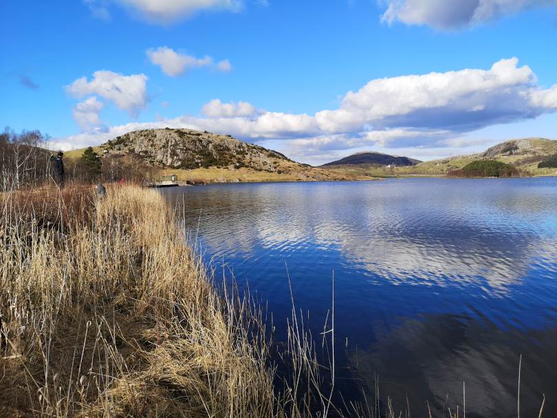 Skjelbreidtjørna