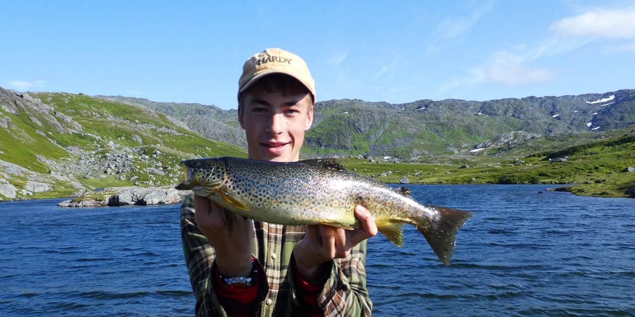 Flott fisk i Børgefjell