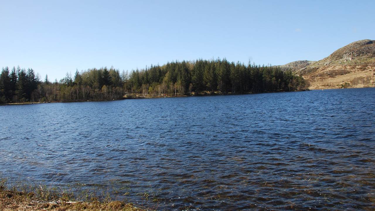 Melsvatnet