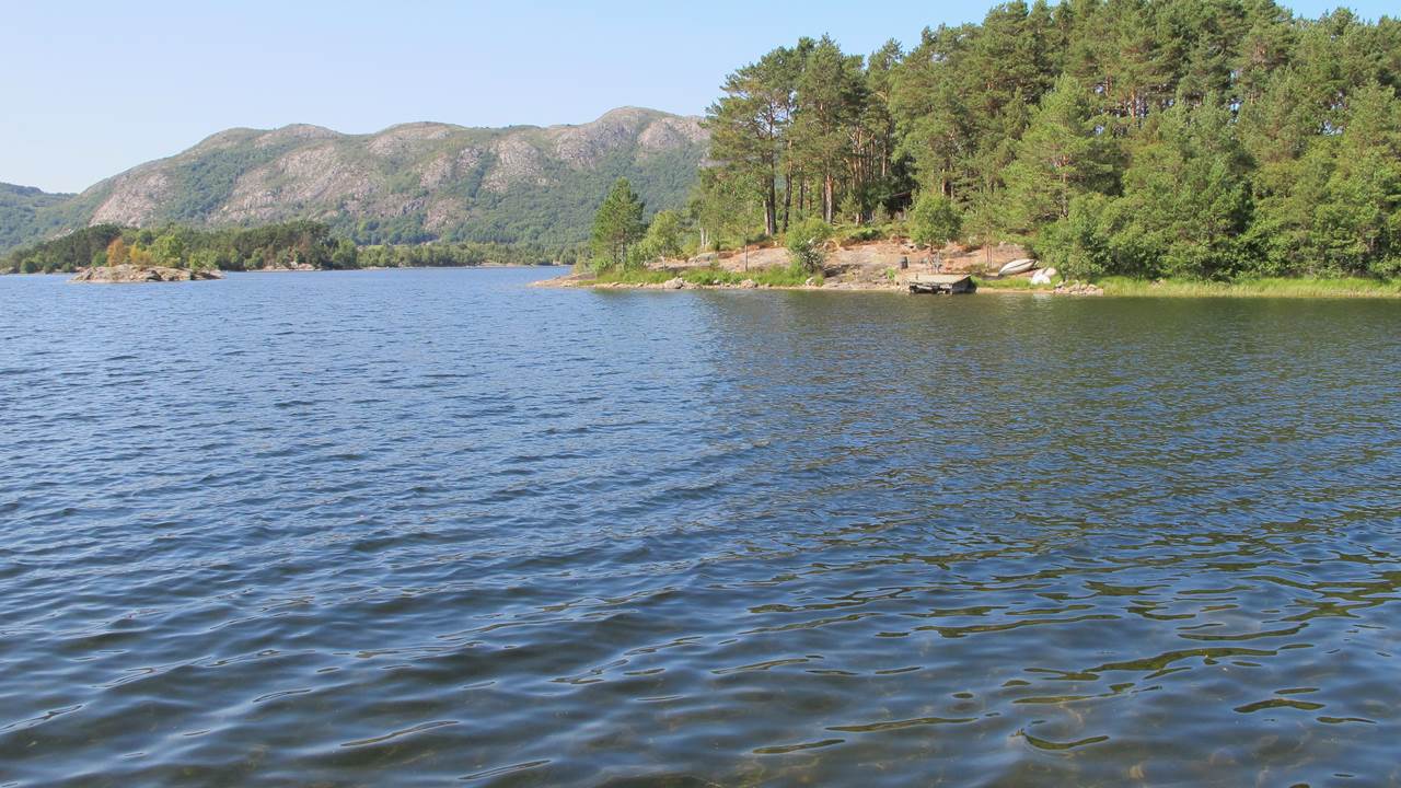 Lutsivatnet