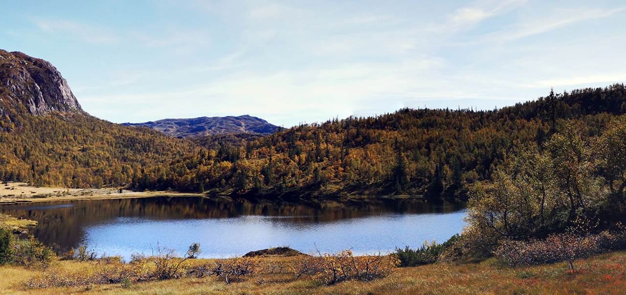 På fisketur i Setesdalsheiene