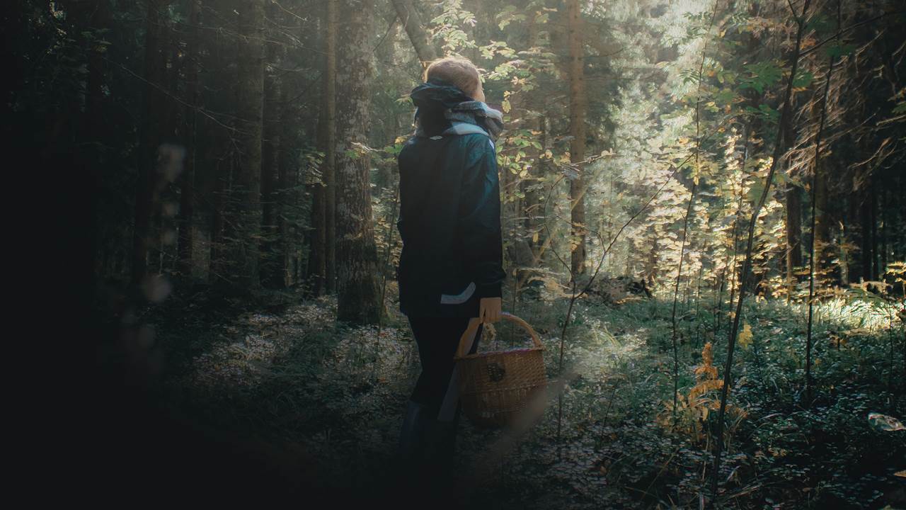 Code of Business Conduct