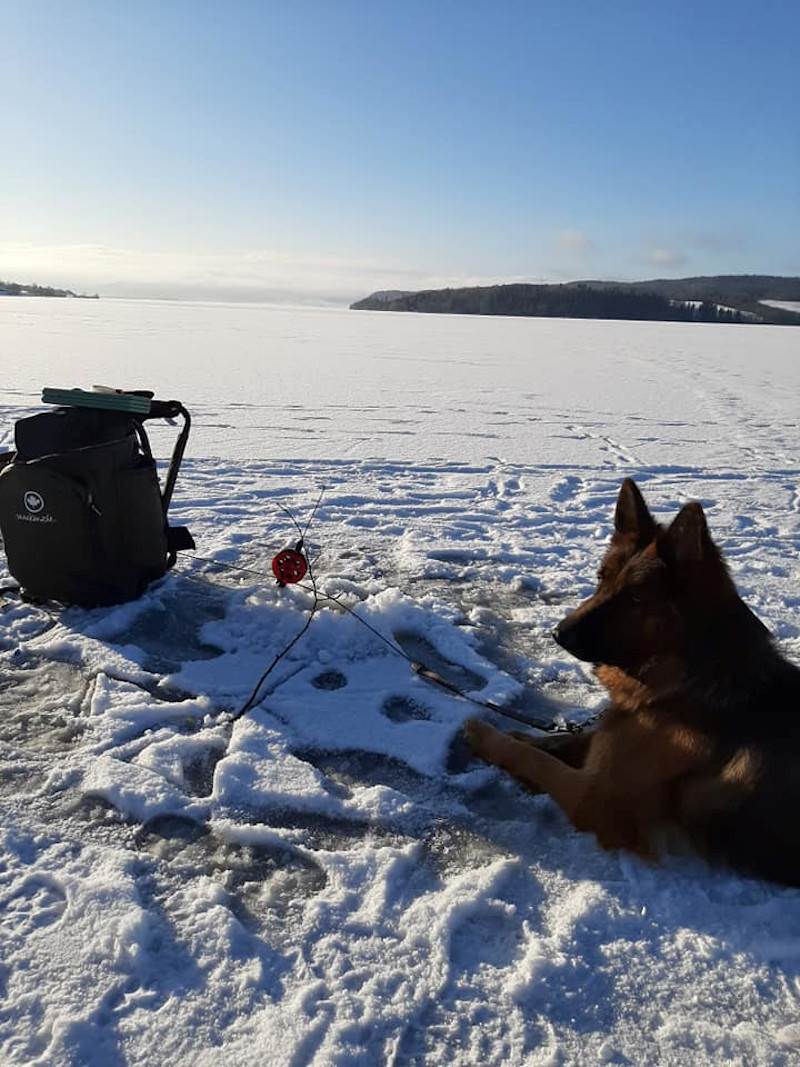 Leksdalsvatnet