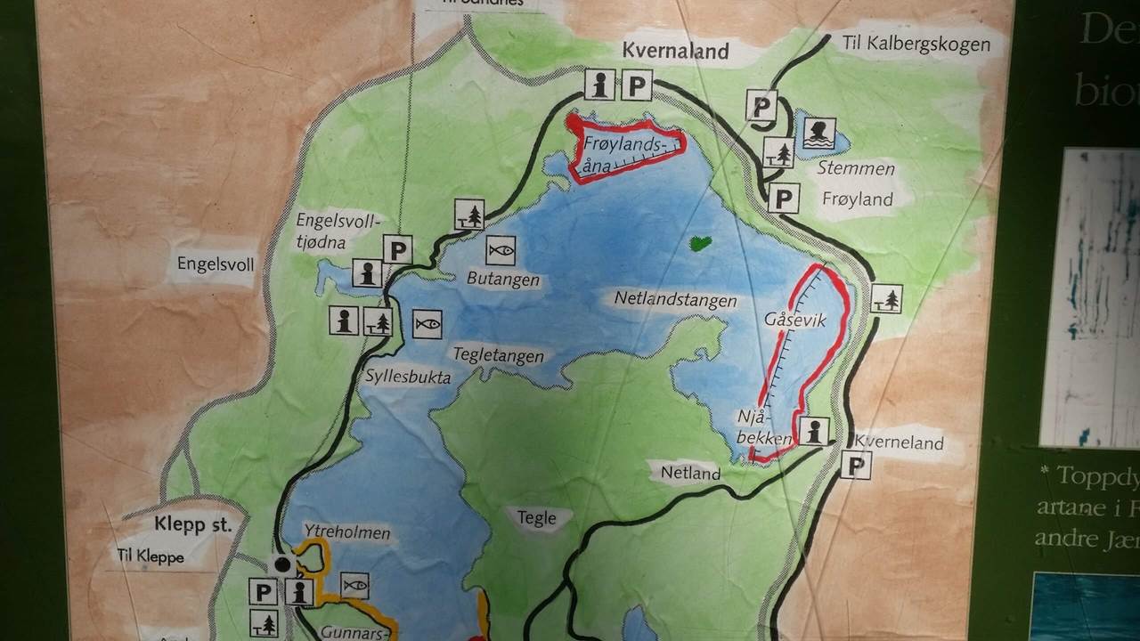 Frøylandsvatnet