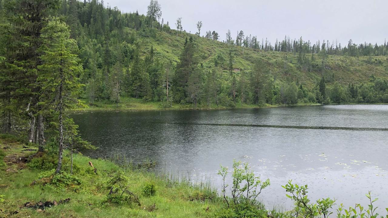 Røssvatnet