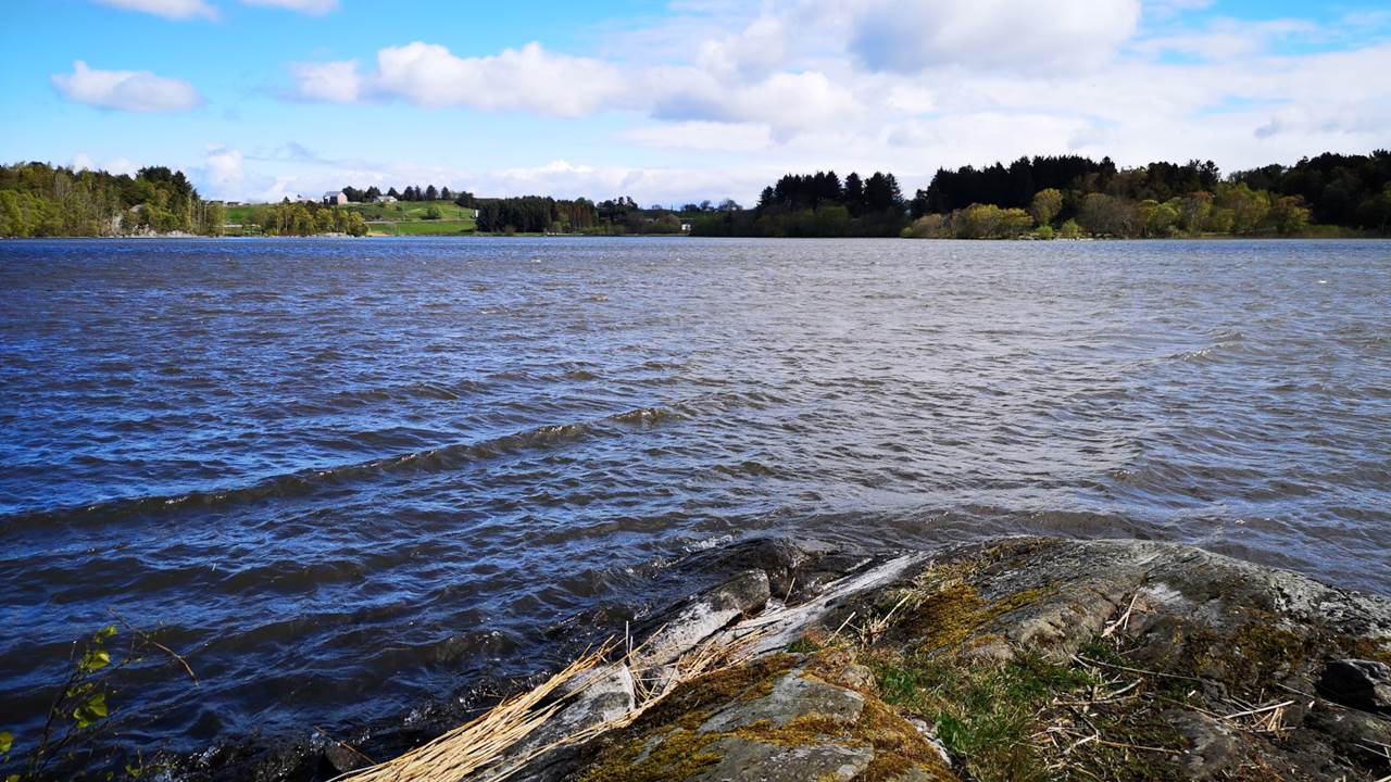 Hålandsvatnet