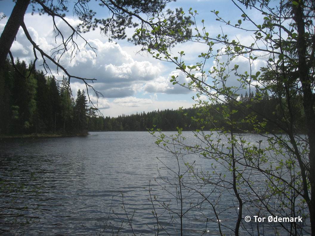 Steinsjøen