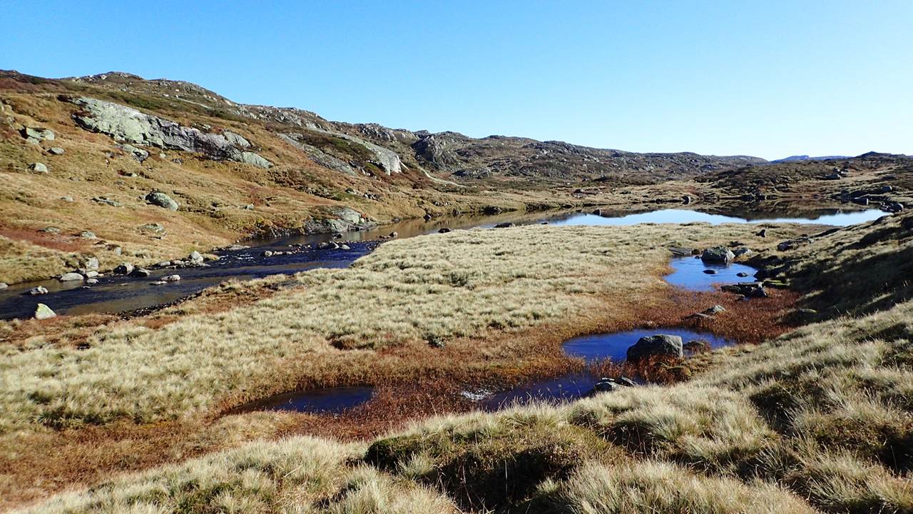 Vestre Skjerevatn