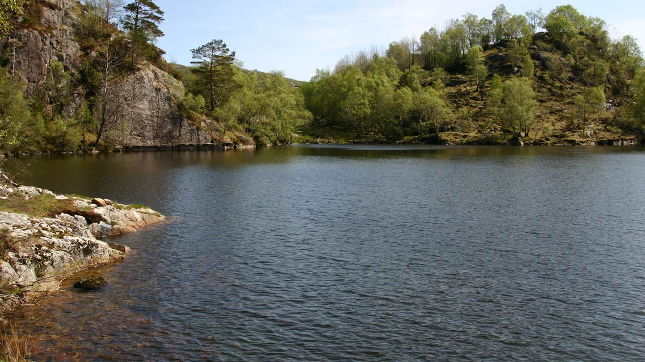 Bogstadtjørna
