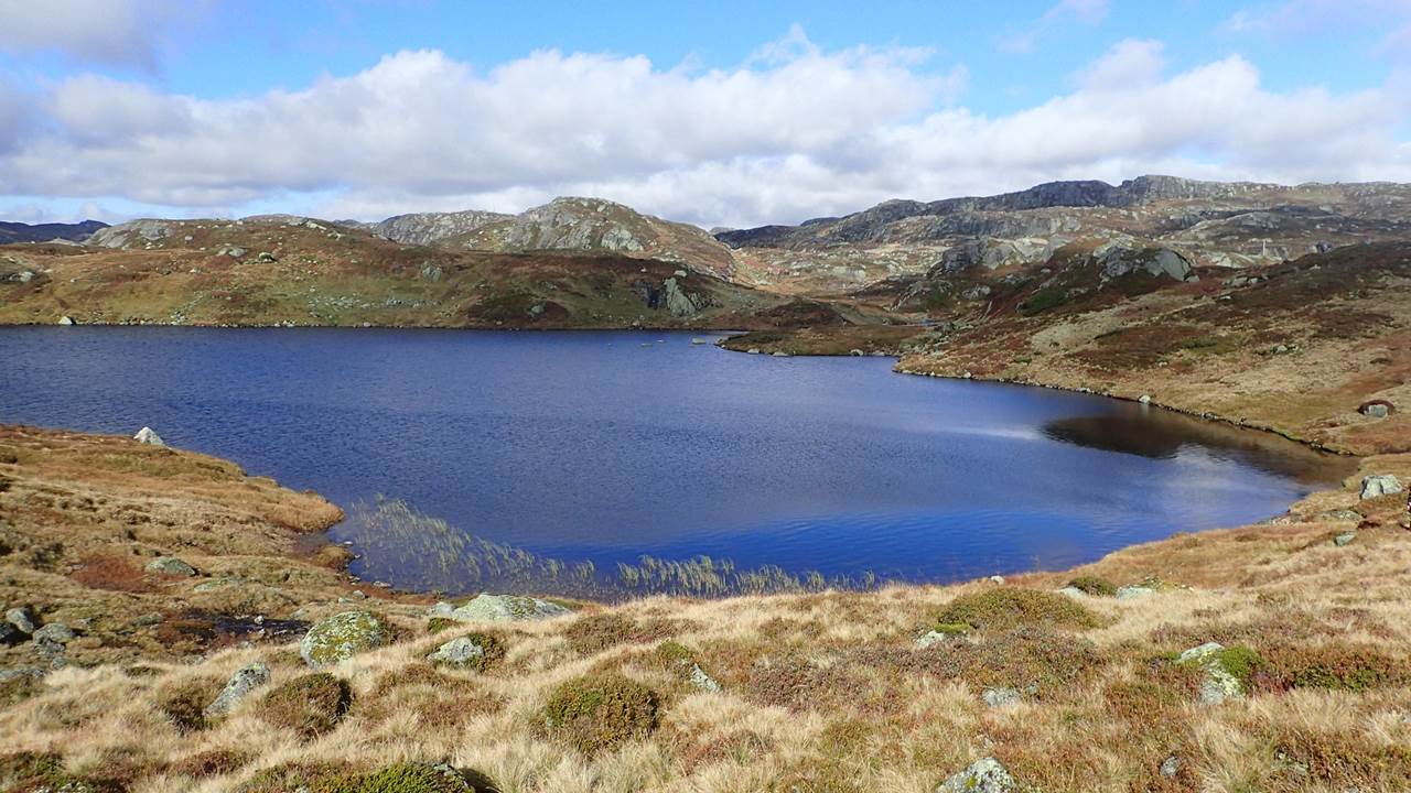 Navnløst vann, Sirdal