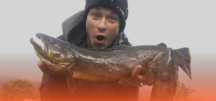 Fiskegal