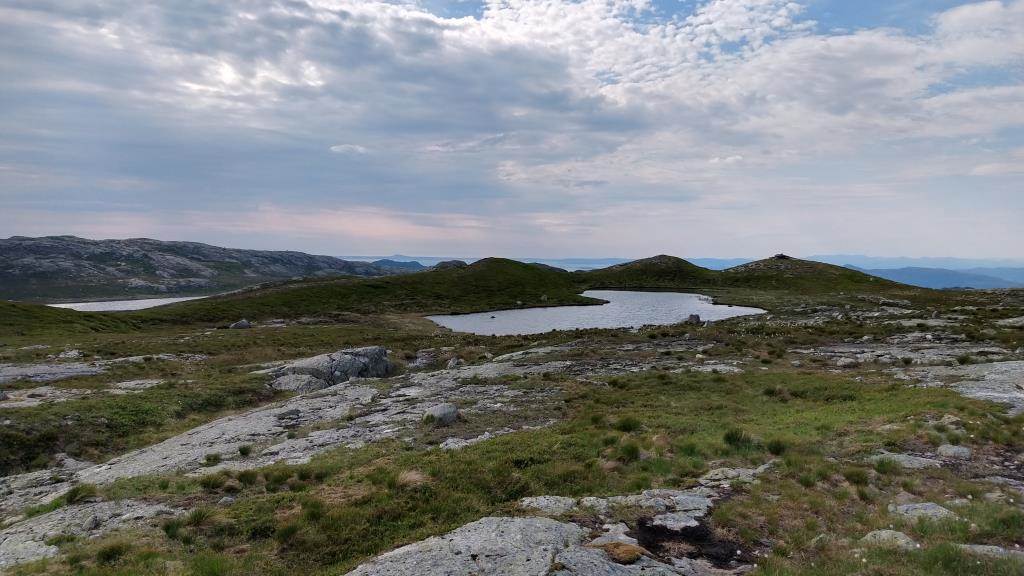 oversiktsbilde over fiskevann