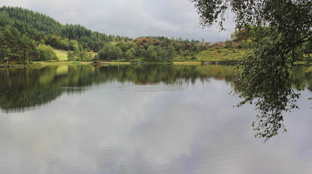 Maritjørna - Govatnet - Sveio