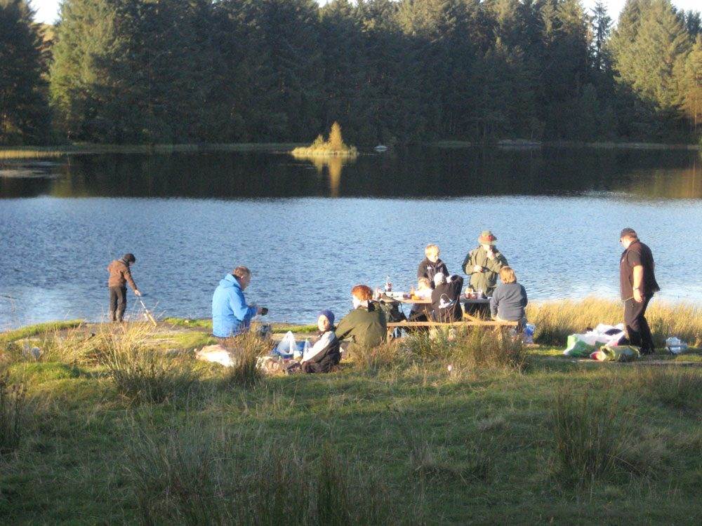 Dalestemmen