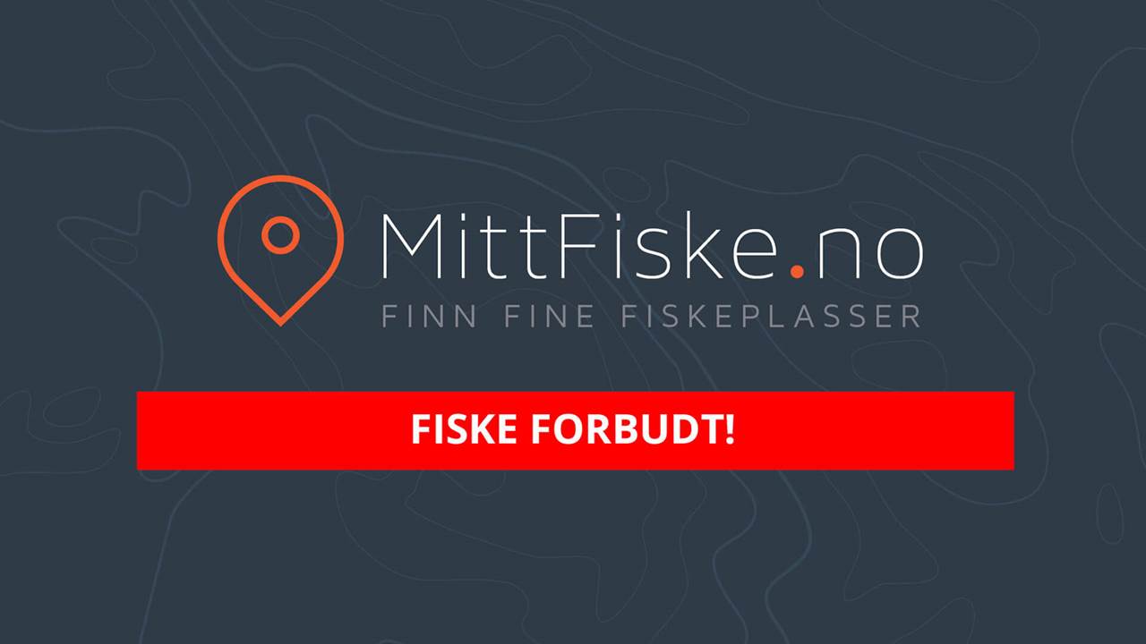 Lysvatnet