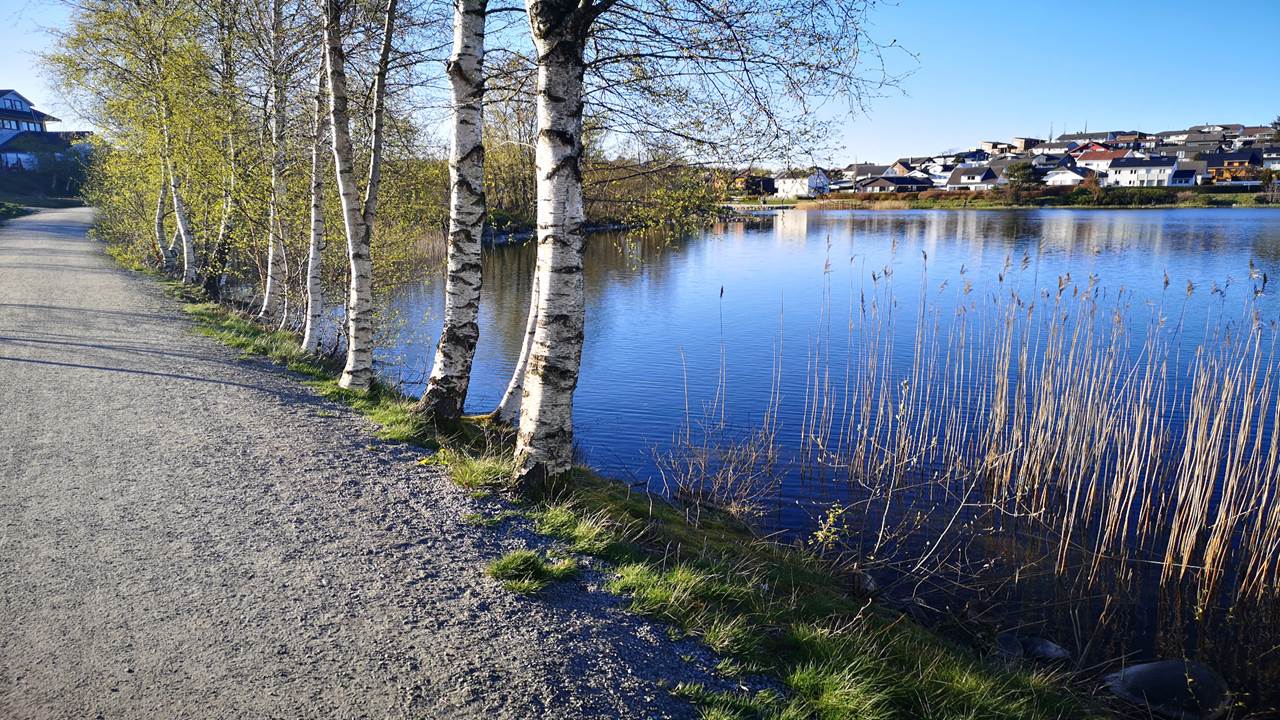 Stokkelandsvatnet