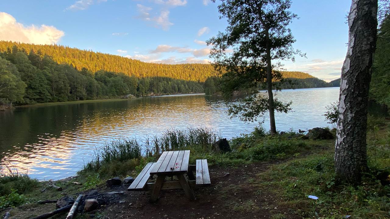 Lutvannet