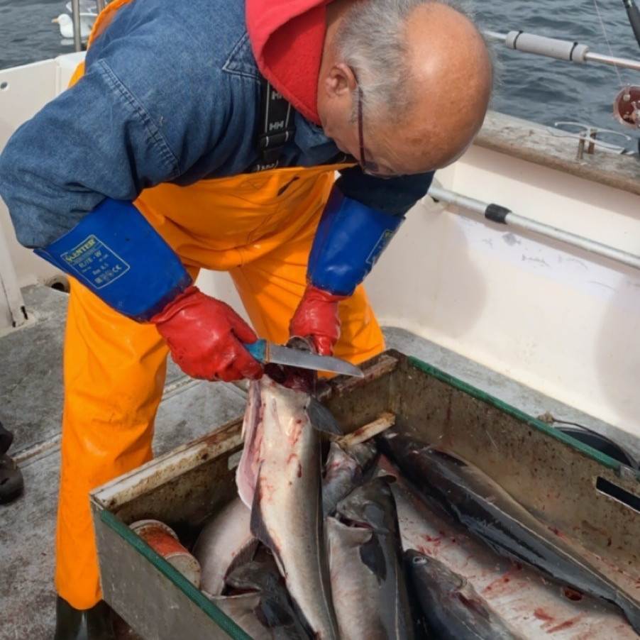 Fiskeguiden Nigel sløyer fisk