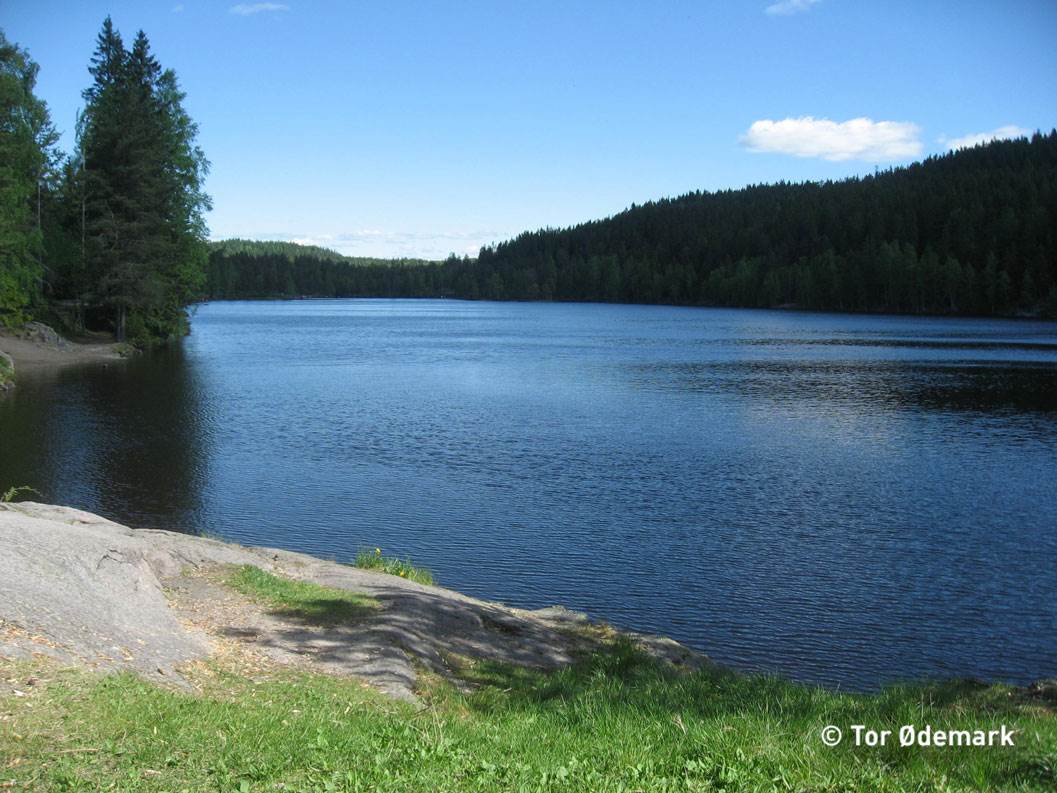 Steinbruvannet