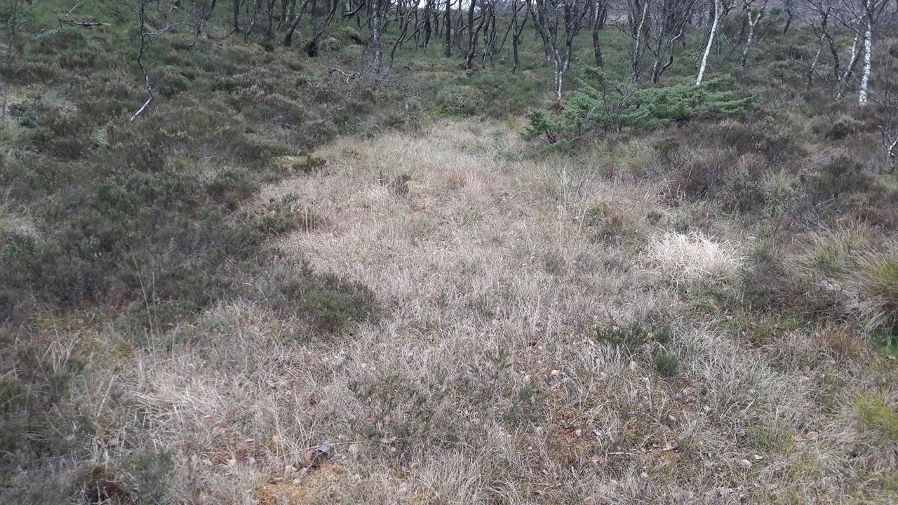 Bulegtjødnå - Løypedalstjørna