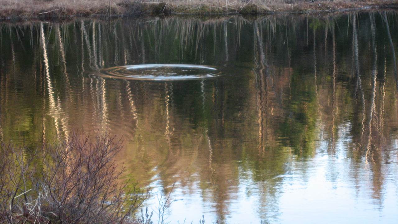 Nordre Kjerrmåsatjern