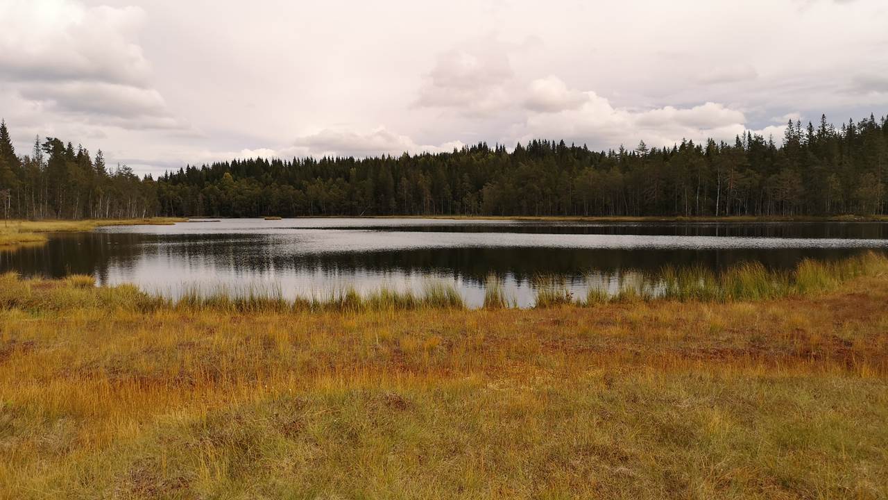 Nordvannet