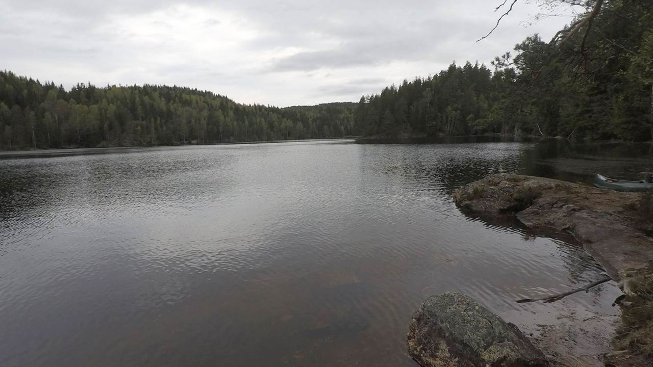 Røyrivannet