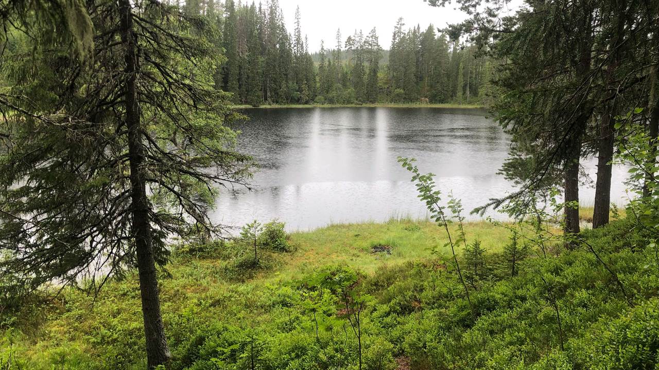 Blukkutjønna