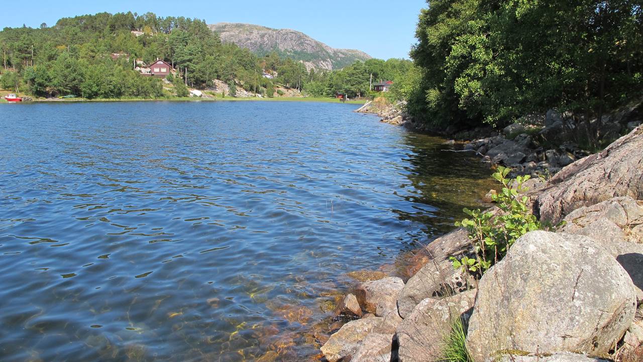 Lutsivatnet
