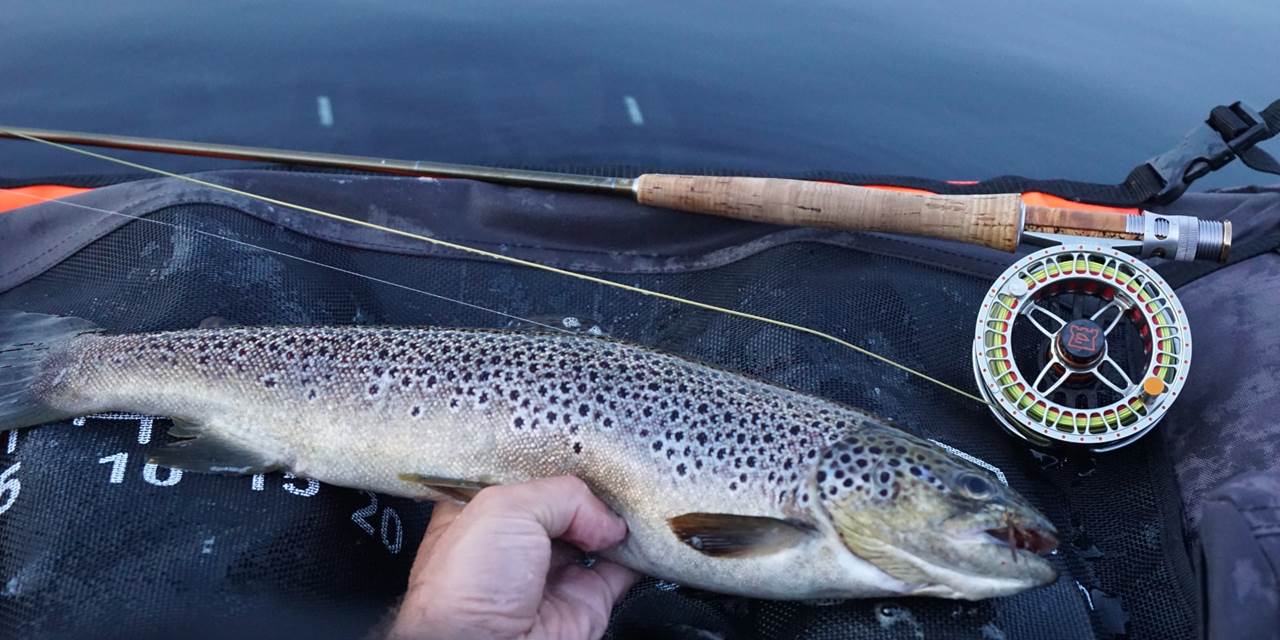 Ørretfiske med vulgata - Galskap!