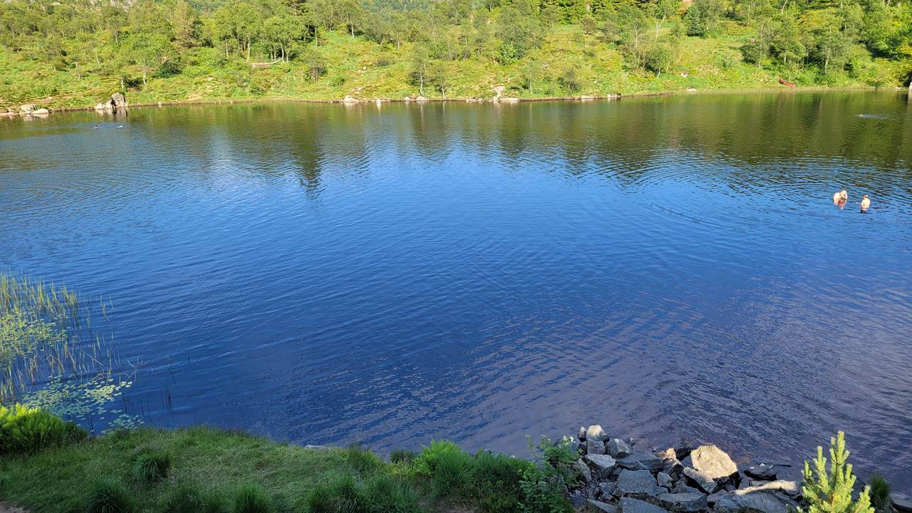 Nubbevatnet