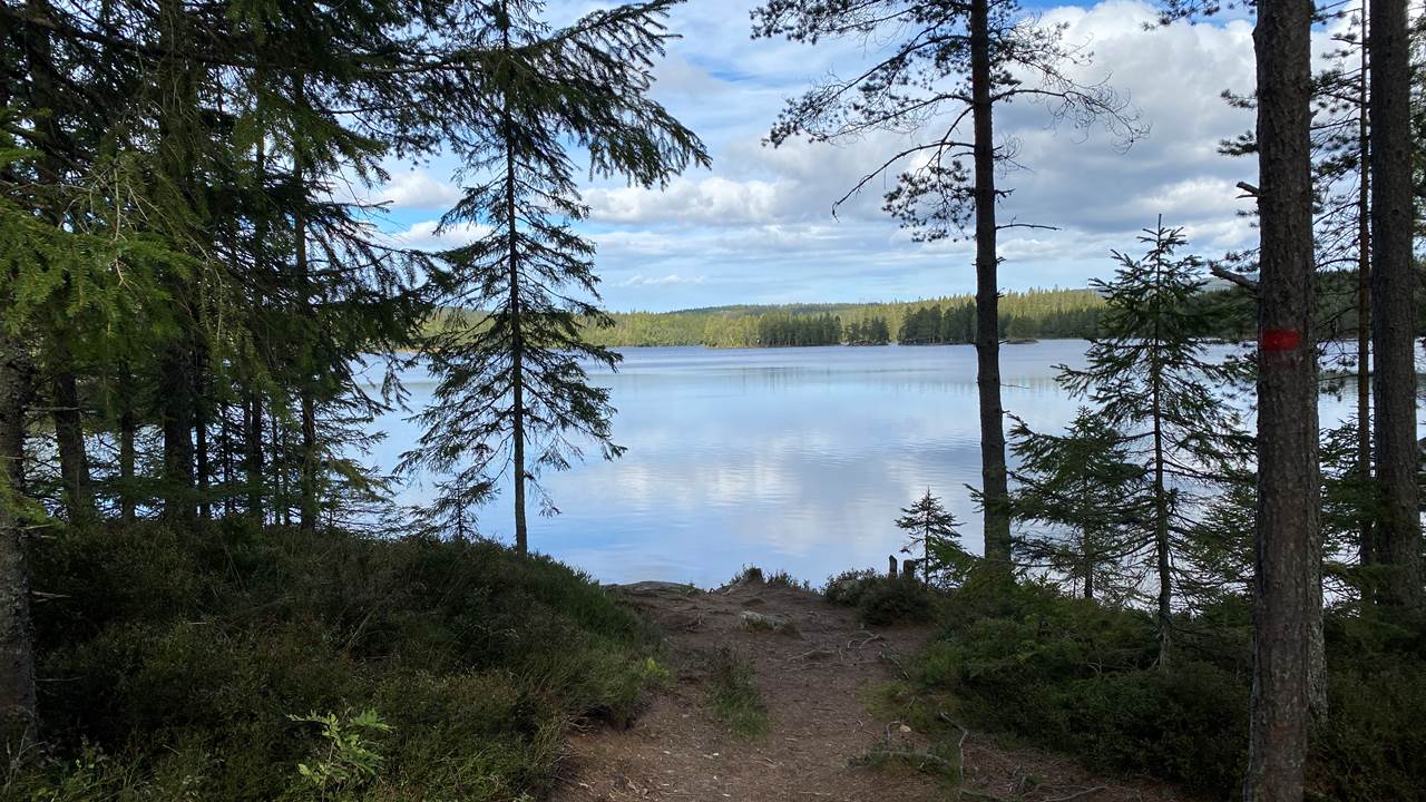 Elvatn