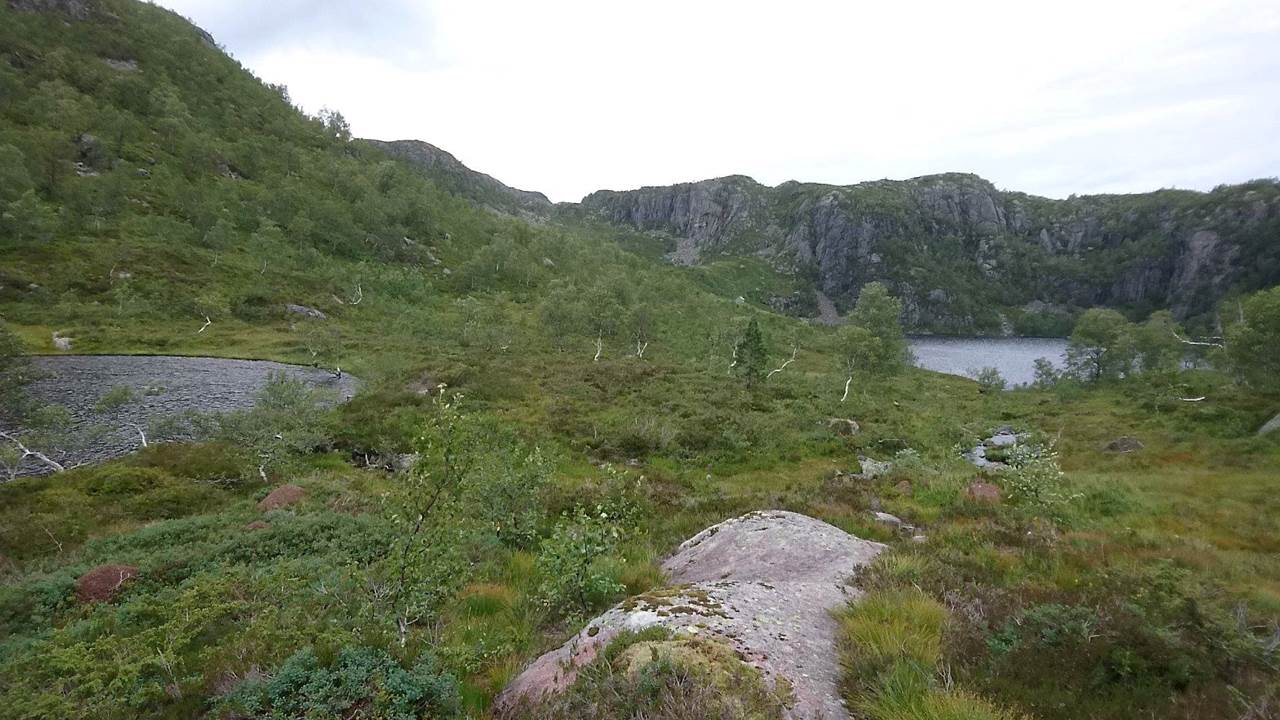 Kringletjørna