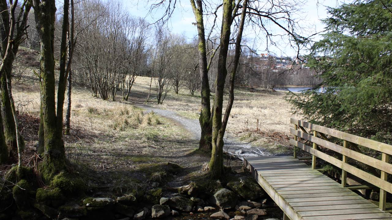 Birkelandsvatnet