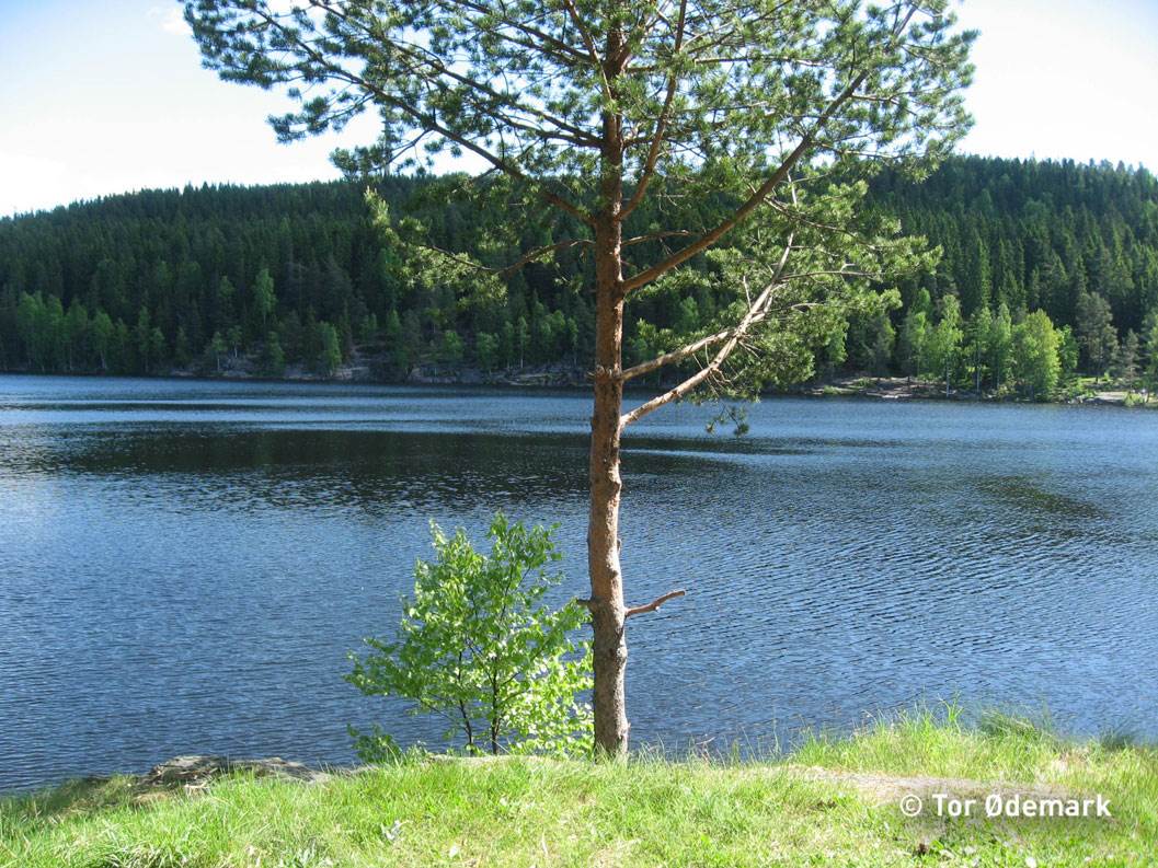 Steinbruvannet
