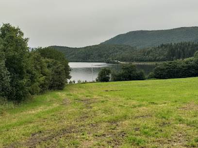 Engsetdalsvatnet (Fyllingsvatnet)