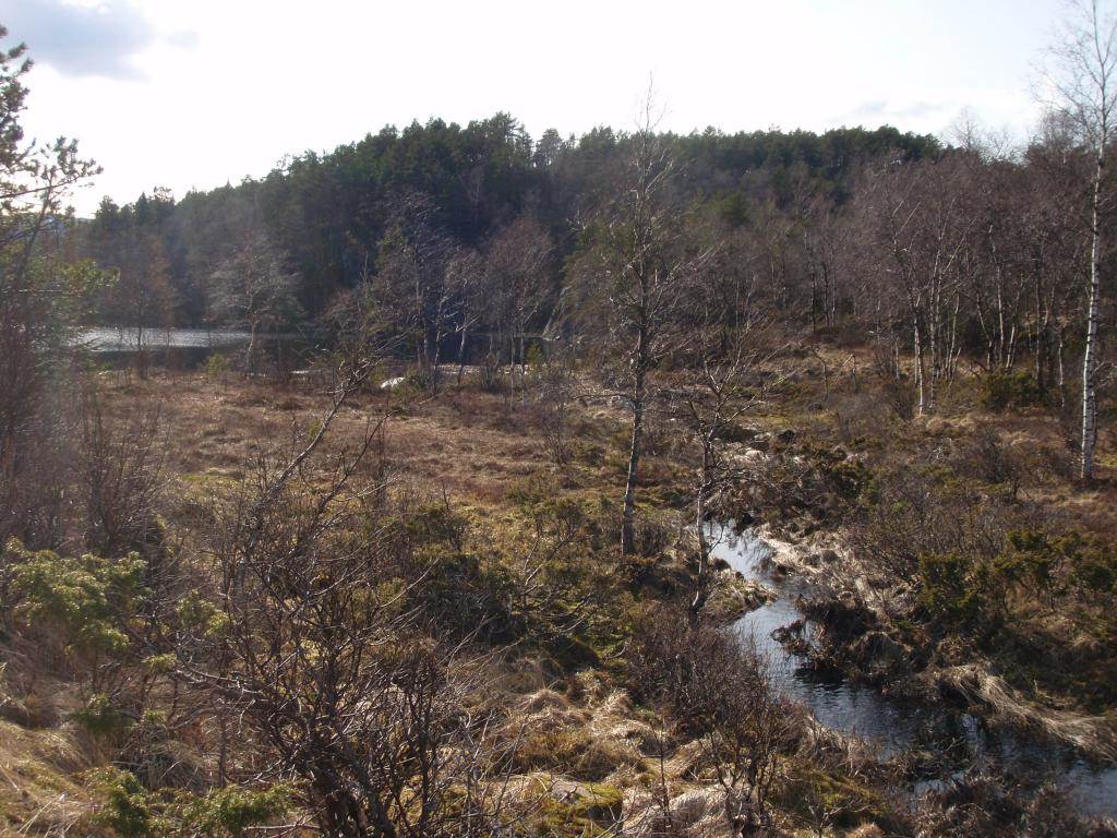 Gamlatjørna (kalles Gaudetjørna av lokalbefolkningen)