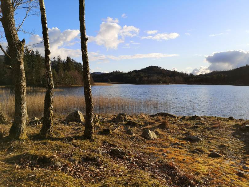 Horvetjørna
