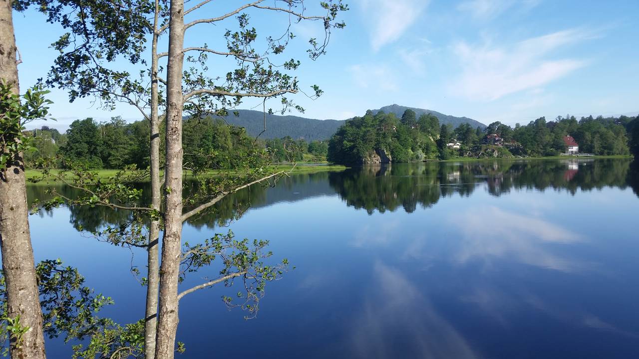 Nesttunvatnet
