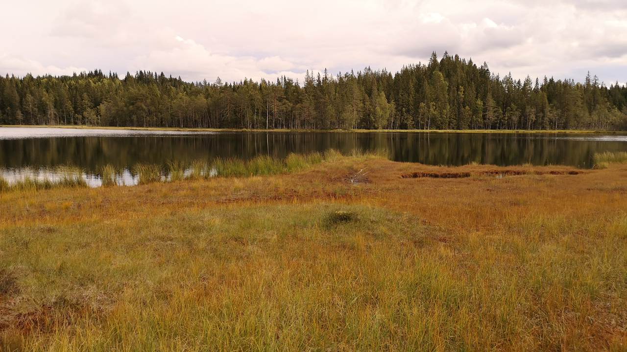Nordvannet