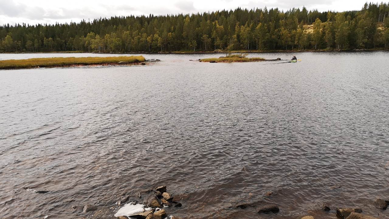 Trehørningen
