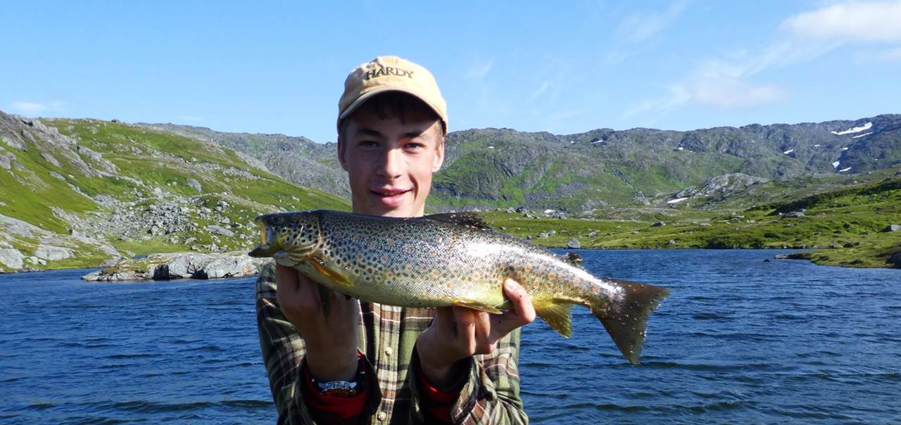 Flott fisk i Børgefjell