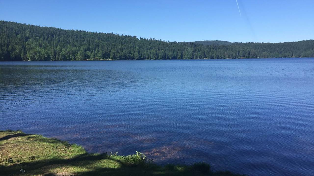 Øyungen