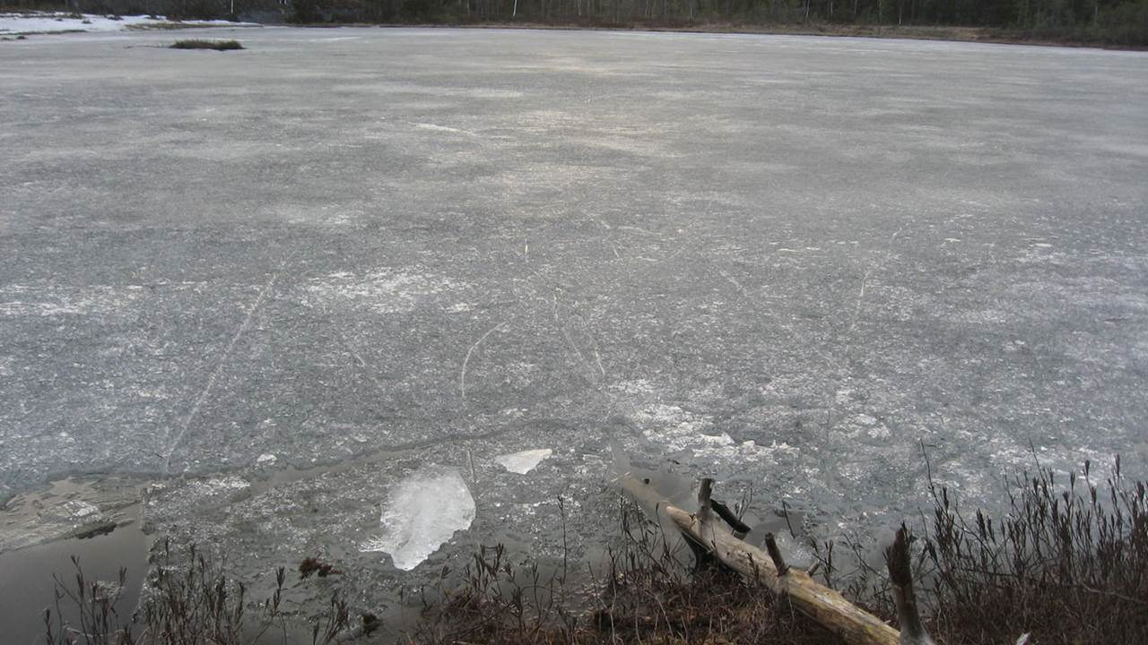 Abbortjern