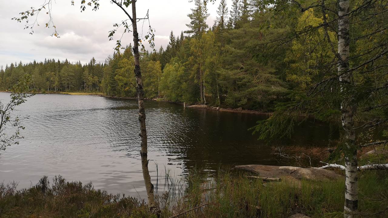 Trehørningen
