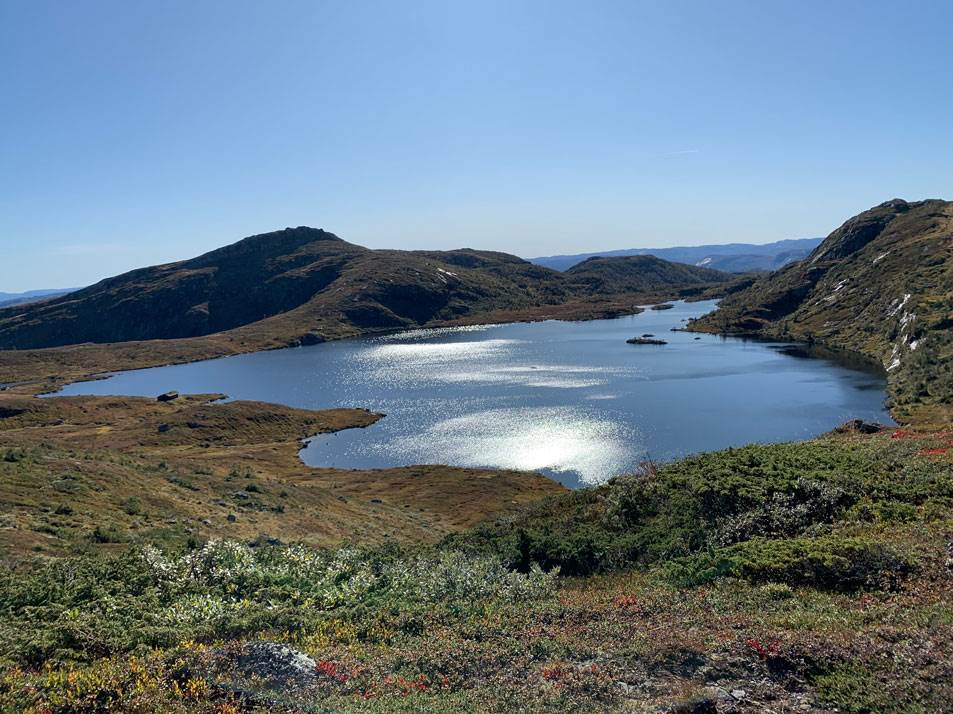 Ljomsvatnet