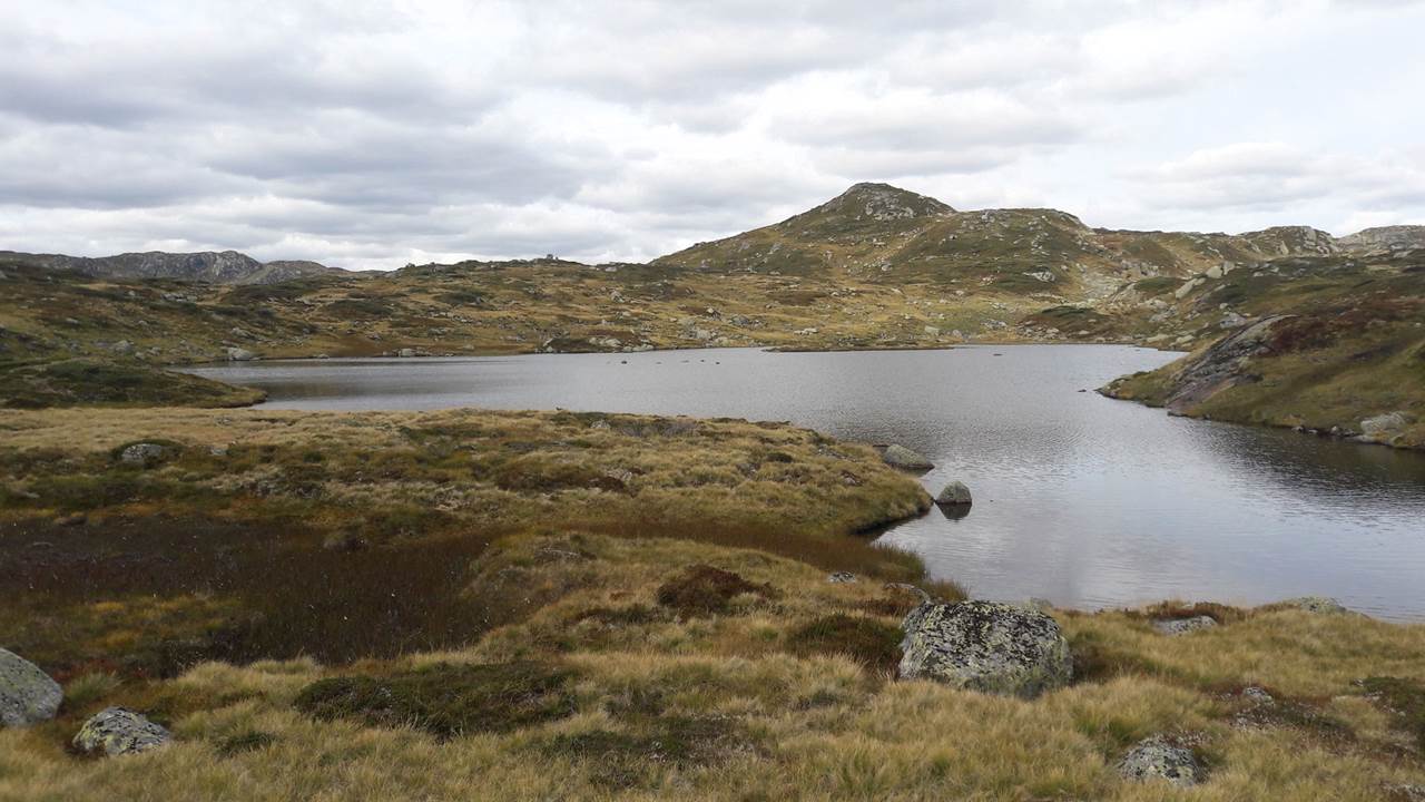 Navnløst vann – Nomeland