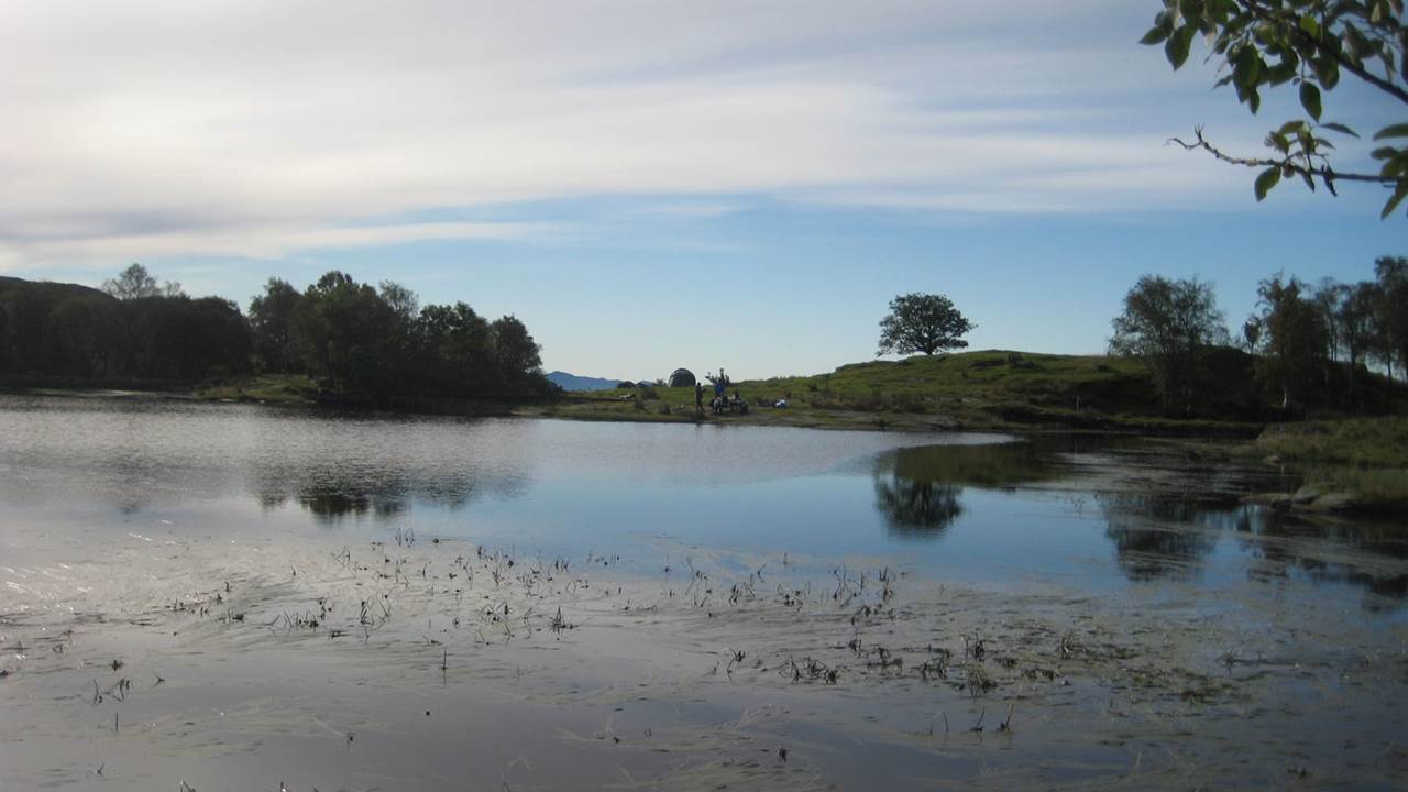 Dalestemmen