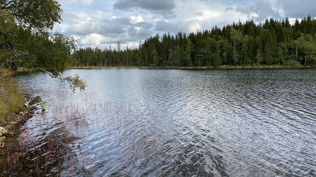 Nordvannet